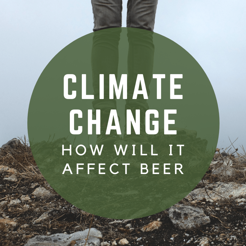 Impact of Climate Change on Beer