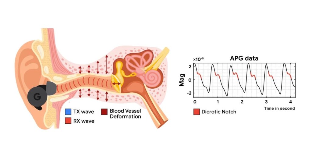 Google's ANC Earbuds as Your Heart Rate Monitor